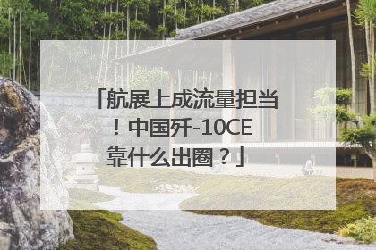 航展上成流量担当！中国歼-10CE靠什么出圈？