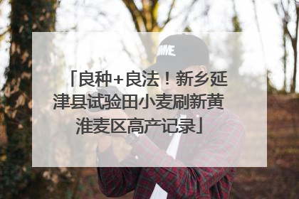 良种+良法！新乡延津县试验田小麦刷新黄淮麦区高产记录