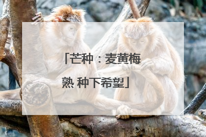 芒种：麦黄梅熟 种下希望