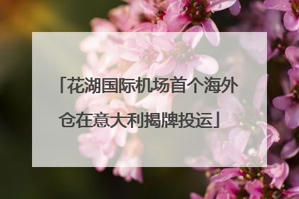 花湖国际机场首个海外仓在意大利揭牌投运