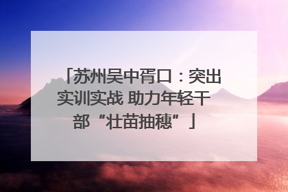 苏州吴中胥口：突出实训实战 助力年轻干部“壮苗抽穗”