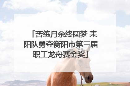 苦练月余终圆梦 耒阳队勇夺衡阳市第三届职工龙舟赛金奖