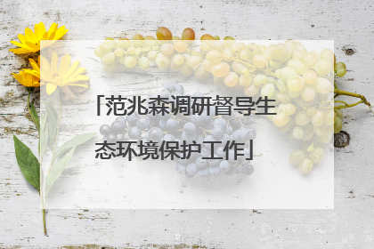 范兆森调研督导生态环境保护工作