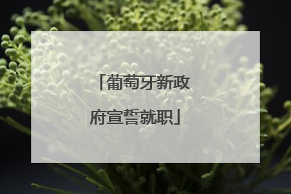 葡萄牙新政府宣誓就职