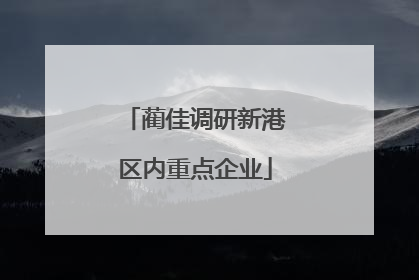 蔺佳调研新港区内重点企业