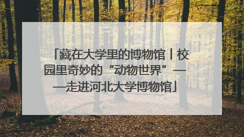 藏在大学里的博物馆丨校园里奇妙的“动物世界”——走进河北大学博物馆