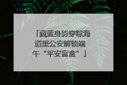 藏蓝身影穿粽海 道里公安解锁端午“平安盲盒”