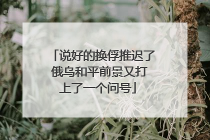 说好的换俘推迟了 俄乌和平前景又打上了一个问号