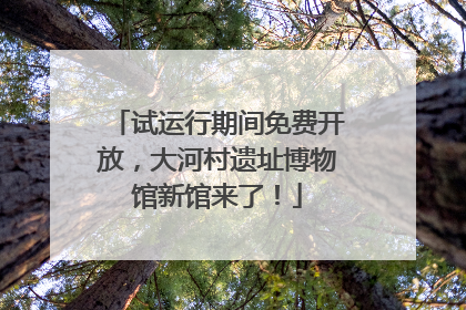 试运行期间免费开放，大河村遗址博物馆新馆来了！
