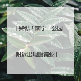 警惕！南宁一公园附近出现眼镜蛇