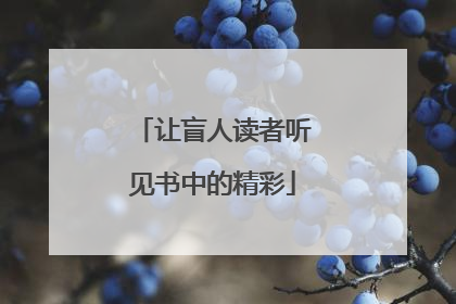 让盲人读者听见书中的精彩