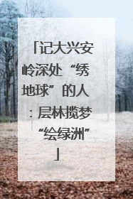 记大兴安岭深处“绣地球”的人：层林揽梦“绘绿洲”