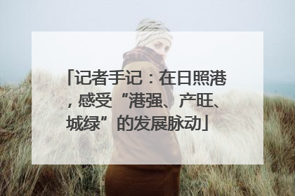 记者手记：在日照港，感受“港强、产旺、城绿”的发展脉动