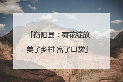 衡阳县：荷花绽放 美了乡村 富了口袋