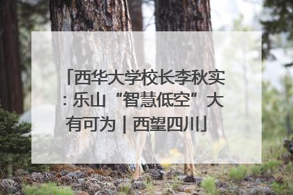 西华大学校长李秋实：乐山“智慧低空”大有可为｜西望四川
