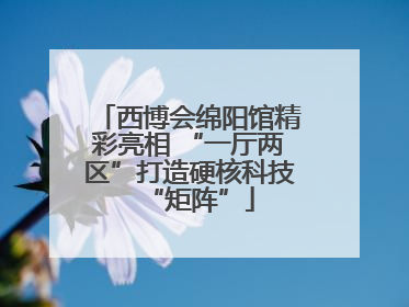 西博会绵阳馆精彩亮相 “一厅两区”打造硬核科技“矩阵”