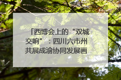西博会上的“双城交响”：四川六市州共展成渝协同发展画卷｜西博视界