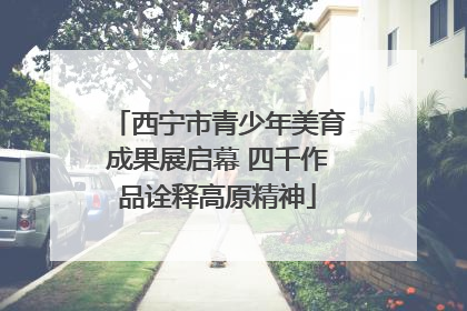 西宁市青少年美育成果展启幕 四千作品诠释高原精神
