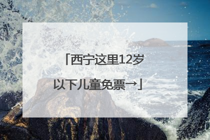 西宁这里12岁以下儿童免票→