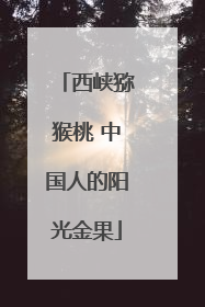 西峡猕猴桃 中国人的阳光金果