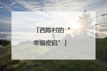 西陈村的“幸福密码”