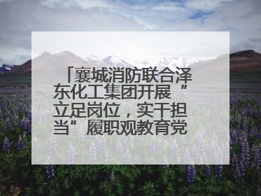 襄城消防联合泽东化工集团开展“立足岗位，实干担当”履职观教育党建联学活动