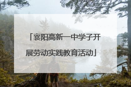 襄阳高新一中学子开展劳动实践教育活动