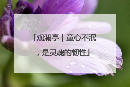 观澜亭｜童心不泯，是灵魂的韧性