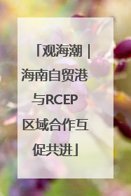 观海潮｜海南自贸港与RCEP区域合作互促共进