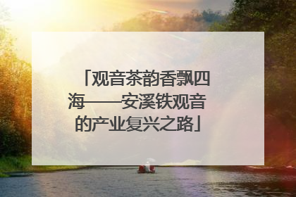 观音茶韵香飘四海——安溪铁观音的产业复兴之路