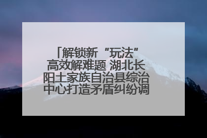 解锁新“玩法” 高效解难题 湖北长阳土家族自治县综治中心打造矛盾纠纷调处“终点站”
