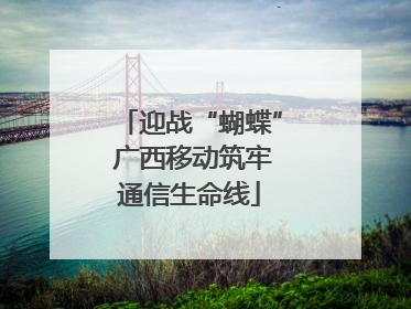 迎战“蝴蝶” 广西移动筑牢通信生命线