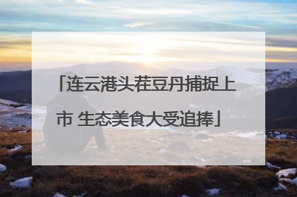 连云港头茬豆丹捕捉上市 生态美食大受追捧
