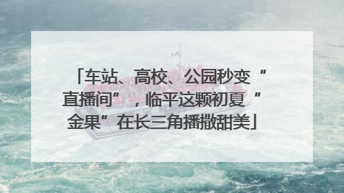 车站、高校、公园秒变“直播间”，临平这颗初夏“金果”在长三角播撒甜美