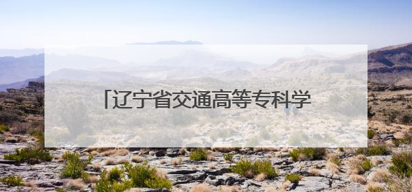 辽宁省交通高等专科学校成功举办 低空经济行业产教融合共同体成立大会暨共建低空经济产教融合新生态论坛