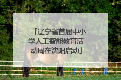 辽宁省首届中小学人工智能教育活动周在沈阳启动