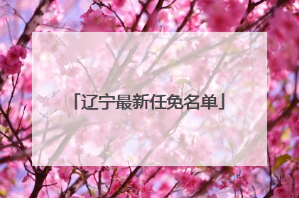 辽宁最新任免名单