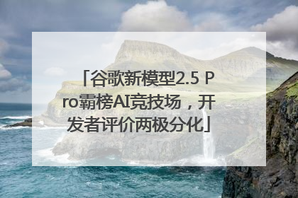 谷歌新模型2.5 Pro霸榜AI竞技场,开发者评价两极分化