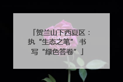 贺兰山下西夏区：执“生态之笔” 书写“绿色答卷”