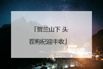 贺兰山下 头茬枸杞迎丰收