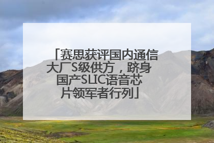 赛思获评国内通信大厂S级供方，跻身国产SLIC语音芯片领军者行列