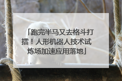 跑完半马又去格斗打擂！人形机器人技术试炼场加速应用落地