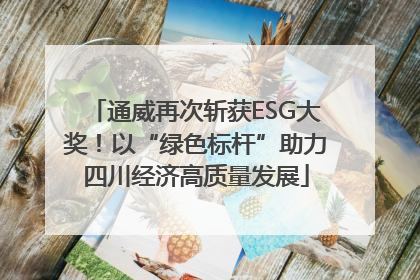 通威再次斩获ESG大奖！以“绿色标杆”助力四川经济高质量发展