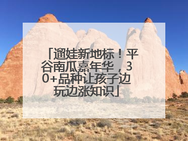 遛娃新地标！平谷南瓜嘉年华，30+品种让孩子边玩边涨知识