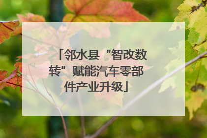 邻水县“智改数转”赋能汽车零部件产业升级