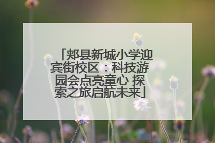 郏县新城小学迎宾街校区：科技游园会点亮童心 探索之旅启航未来