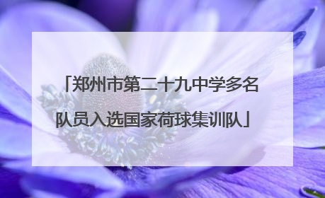 郑州市第二十九中学多名队员入选国家荷球集训队