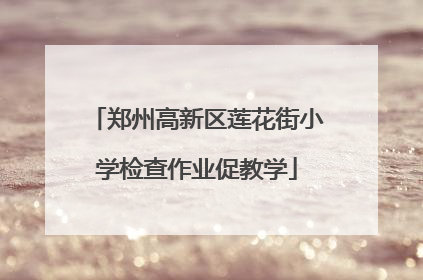 郑州高新区莲花街小学检查作业促教学