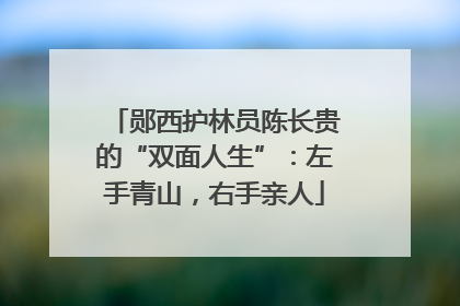 郧西护林员陈长贵的“双面人生”：左手青山，右手亲人