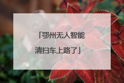 鄂州无人智能清扫车上路了